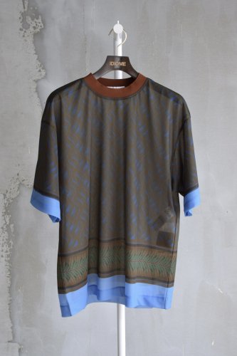 Sheer jersey print T-shirt<img class='new_mark_img2' src='https://img.shop-pro.jp/img/new/icons14.gif' style='border:none;display:inline;margin:0px;padding:0px;width:auto;' />