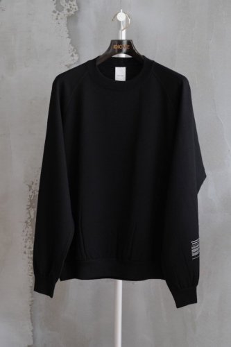 Melino Wool Crew Neck<img class='new_mark_img2' src='https://img.shop-pro.jp/img/new/icons14.gif' style='border:none;display:inline;margin:0px;padding:0px;width:auto;' />