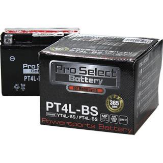PT4L-BS (YT4L-BSߴ)