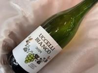 ࡡuccelli bianco 2024 åꡡӥ󥳡2024750