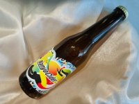 졼ץѥ֥åʥ衼  Nanyo Cider 2022 (Nanyo Cider 2022)ˡܥȥ롡330