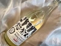 ¡Ú11·î3ÆüȯÇä¡Û¥Ô¥Î¡¦¥³¥Ã¥ê¡¼¥Ê¡¡¥Ì¡¼¥Ü¡¼¡¡¥Ö¥é¥ó¡¡2025¡¡Ìµßɲᡡ750£í£ì¡ã¥¯¡¼¥ëÊØ¿ä¾©¡ä