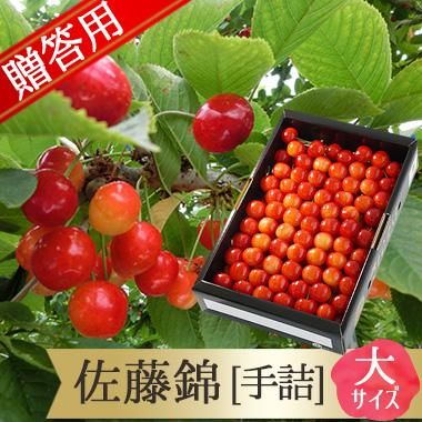さくらんぼ佐藤錦手詰め贈答用