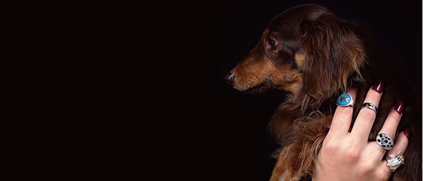 【美品・箱付き】ボギー＆レオ／ドッグ リング SV925／18号 美品・箱付き】ボギー＆レオ／ドッグ リング SV925／18号 - メルカリ