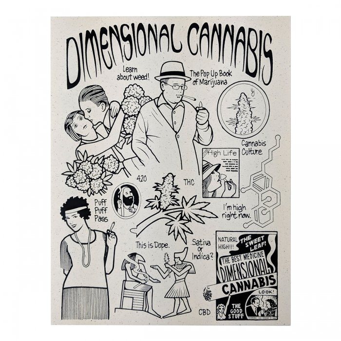 メール便可 / 送料160円】 DIMENSIONAL CANNABIS STICKERS ステッカー