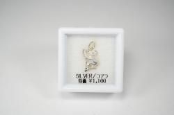 ò1100ߡSILVER/