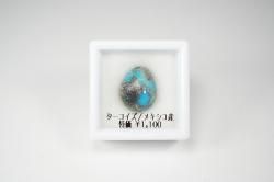 ò1100ߡۥᥭ