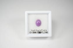ò1100ߡۥեեǥ饤ȡ68