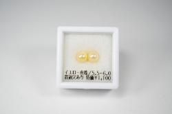 ò1100ߡۥ5.5~6С̷ꤢ