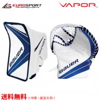 <img class='new_mark_img1' src='https://img.shop-pro.jp/img/new/icons20.gif' style='border:none;display:inline;margin:0px;padding:0px;width:auto;' />BAUER VAPOR X900 グラブ セット シニア SR