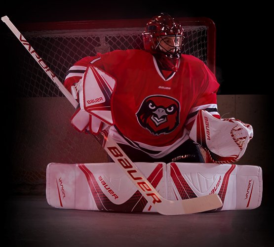 BAUER VAPOR X700 グラブ セット シニア SR - ユーロスポルト アイスホッケー用品 FRONTIER / WALL MASK /  TACKLA