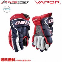 <img class='new_mark_img1' src='https://img.shop-pro.jp/img/new/icons24.gif' style='border:none;display:inline;margin:0px;padding:0px;width:auto;' />BAUER S18 VAPOR 1X LITE グローブ シニア SR