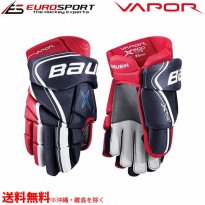 <img class='new_mark_img1' src='https://img.shop-pro.jp/img/new/icons24.gif' style='border:none;display:inline;margin:0px;padding:0px;width:auto;' />BAUER S18 VAPOR X 800 LITE グローブ ジュニア JR