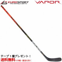 <img class='new_mark_img1' src='https://img.shop-pro.jp/img/new/icons20.gif' style='border:none;display:inline;margin:0px;padding:0px;width:auto;' />BAUER S19 VAPOR FLYLITE スティック シニア SR