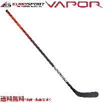 <img class='new_mark_img1' src='https://img.shop-pro.jp/img/new/icons24.gif' style='border:none;display:inline;margin:0px;padding:0px;width:auto;' />BAUER S19 VAPOR 2X TEAM スティック インター INT
