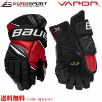 <img class='new_mark_img1' src='https://img.shop-pro.jp/img/new/icons20.gif' style='border:none;display:inline;margin:0px;padding:0px;width:auto;' />BAUER S20 VAPOR 2X PRO グローブ ジュニア JR