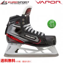 <img class='new_mark_img1' src='https://img.shop-pro.jp/img/new/icons24.gif' style='border:none;display:inline;margin:0px;padding:0px;width:auto;' />BAUER S19 VAPOR X2.9 GK ˥ JR