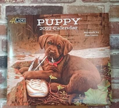 Lang社 22年度版 Usaカレンダー Puppies Calendar パピーズカレンダー カントリー家具 カントリー雑貨 オーダー家具 大阪 ラズベリーハウス Lang社 22年度版 Usaカレンダー Puppies Calendar パピーズカレンダー カントリー家具 カントリー雑貨 オーダー家具 大阪 ラズベリーハウス