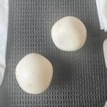 󥹥饤ȡʥ󥹥ǥ饤ȡˡڥޥȥ2025 