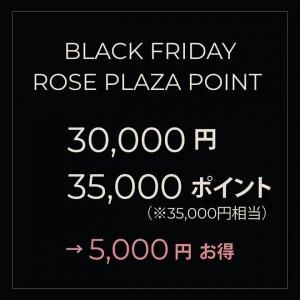 Black Friday Rose Plaza ݥTier A
30,000ߤ35,000ݥȡ5,000ߤ