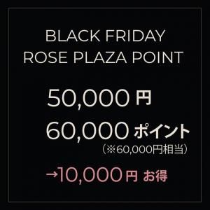 Black Friday Rose Plaza ݥTier B
50,000ߤ60,000ݥȡ10,000ߤ