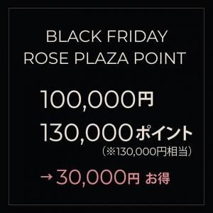 Black Friday Rose Plaza ݥTier C
100,000ߤ130,000ݥȡ30,000ߤ