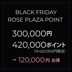 Black Friday Rose Plaza ݥTier E
300,000ߤ420,000ݥȡ120,000ߤ