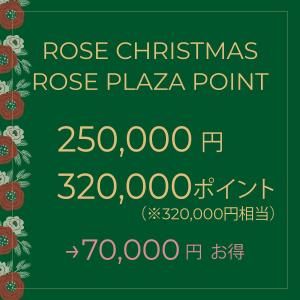 ��12��28��23��59ʬ�ޤǡ�Rose Christmas �����Rose Plaza �ݥ�������������Pack C
250,000�ߤ�320,000�������ݥ���ȡ�70,000�ߤ�����