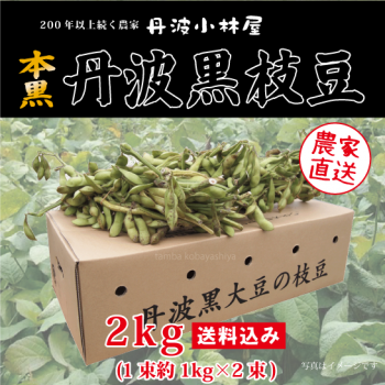 丹波産黒枝豆-農家直送-送料無料-丹波小林屋