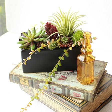 多肉植物・ブラックボックス-アーティフィシャルフラワー - 造花・加工