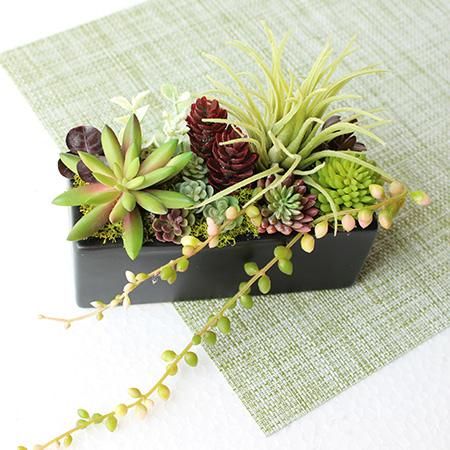 多肉植物・ブラックボックス-アーティフィシャルフラワー - 造花・加工
