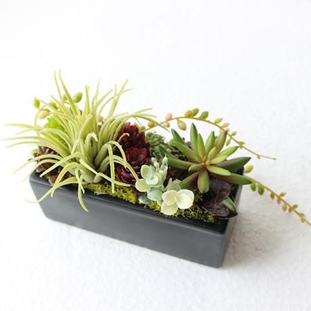 多肉植物・ブラックボックス-アーティフィシャルフラワー - 造花・加工