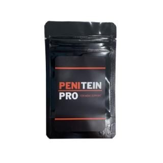 PENITEIN PROʥڥ˥ƥץ