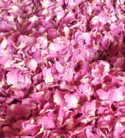ڥåۥ60ml ȯ䳫