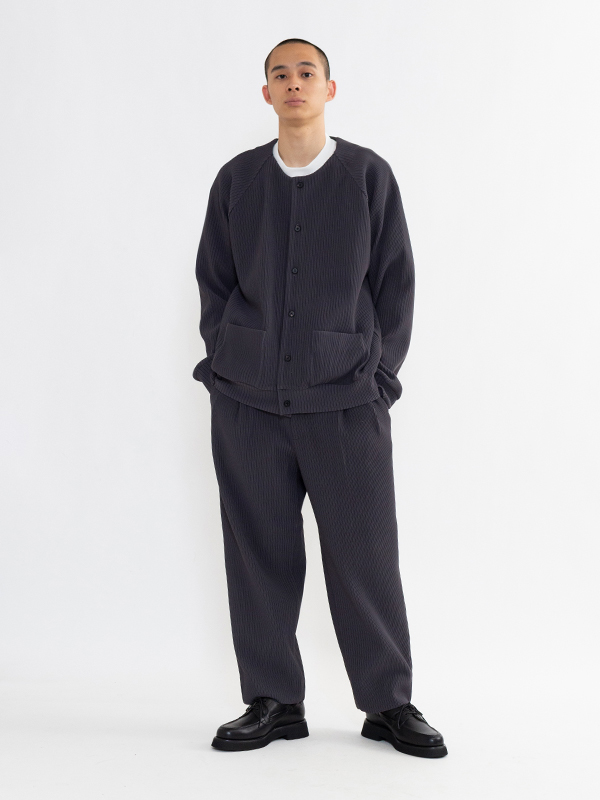 stein GRADATION PLEATS TWO TUCK TROUSERS - パンツ