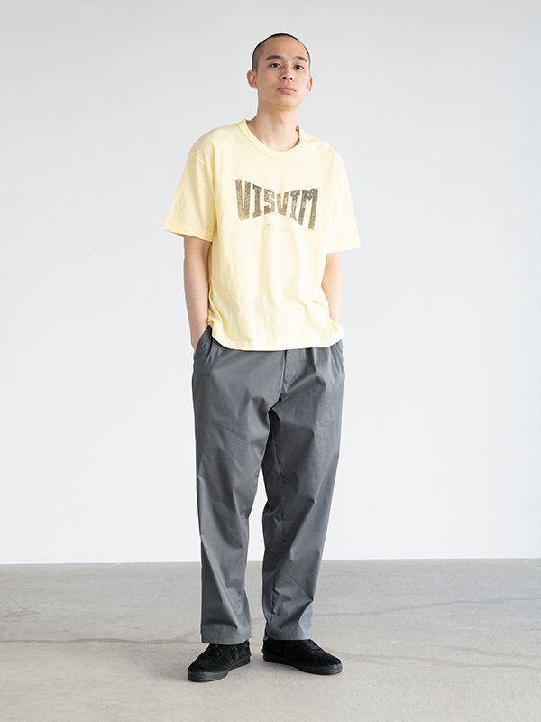 HERITAGE TEE S/S-ヘリテージTシャツショートスリーブ-visvim ...