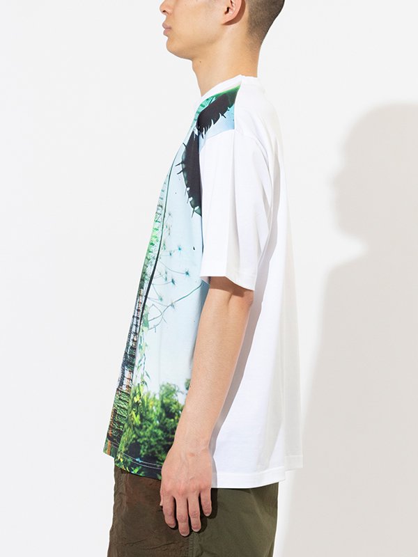 Cotton jersey printed short sleeve T-shirt-コットン