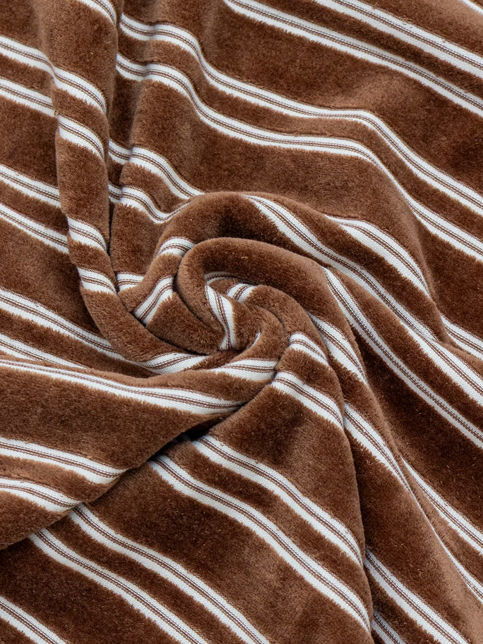 トップス PHEENY/VELOURS BORDER L/S(BURGUNDY) PHEENY] フィーニー Velvet border L/S(BURGUNDY)