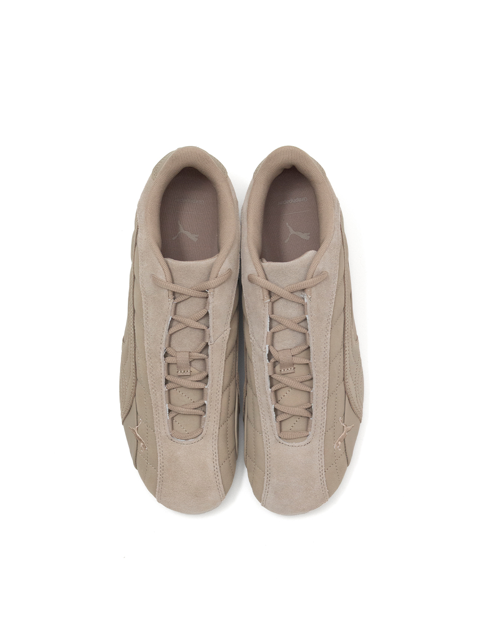 Speedcat Plus GRAPHPAPER-スピードキャットプラスグラフ