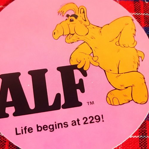 ALF/ALF Sticker/アルフ ステッカー(B) - boosmarket
