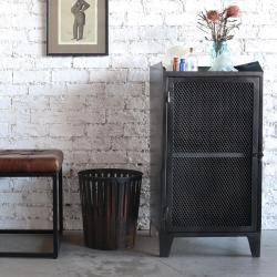 <img class='new_mark_img1' src='https://img.shop-pro.jp/img/new/icons32.gif' style='border:none;display:inline;margin:0px;padding:0px;width:auto;' />IRON STORAGE CABINET