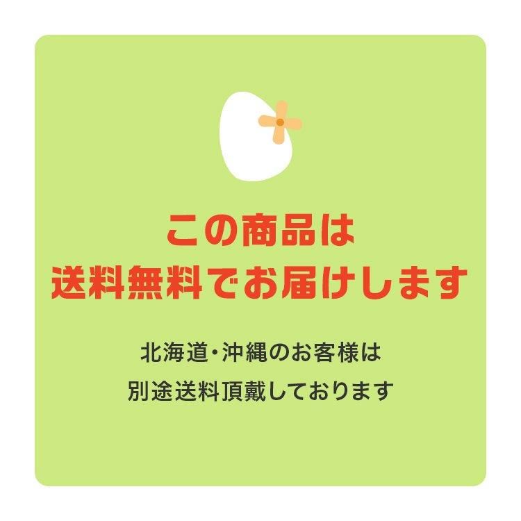 ウィリアムモリスMORRIS&Co. 20021125 Middlemore 216695 - と