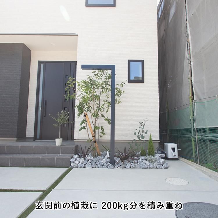 送料無料】石灰石 大サイズ(粒度 80mm~)20kg / 塊 - といれた 送料無料】石灰石 大サイズ(粒度 80mm~)20kg / 塊 - といれた