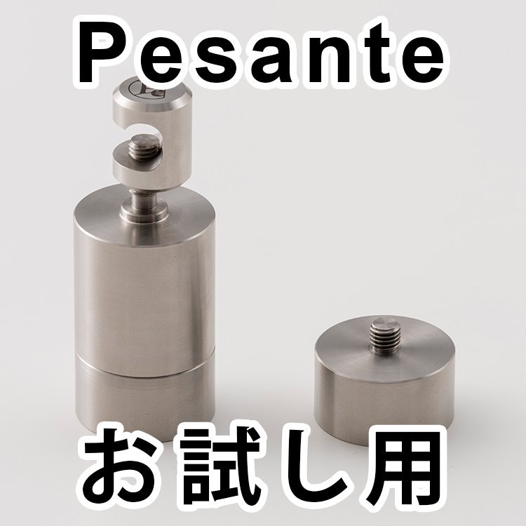 Pesanteʥڥơ˻߽Хӥ