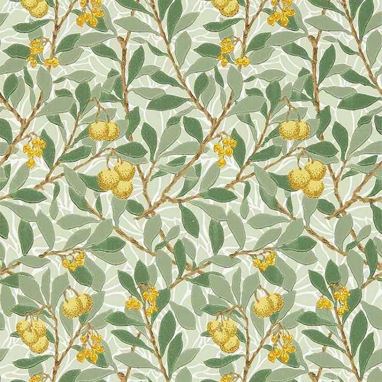 ꥢꥹMORRIS&Co.Arbutus 217356