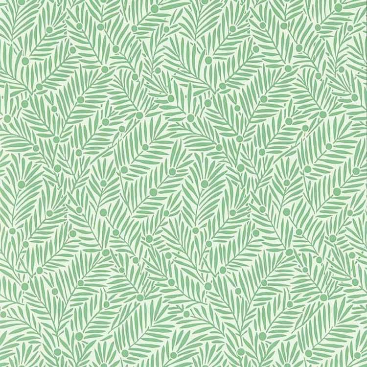 ꥢꥹMORRIS&Co.Yew & Aril 217346
