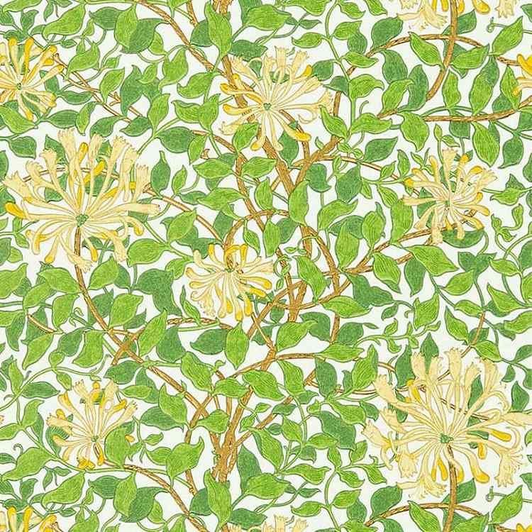 ꥢꥹMORRIS&Co.Honeysuckle 217095