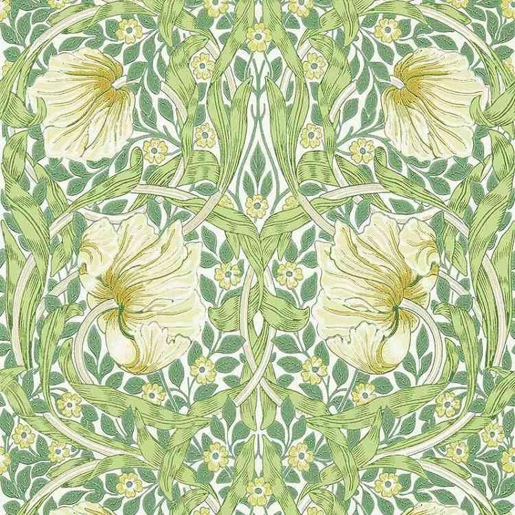 ꥢꥹMORRIS&Co.Pimpernel 217063