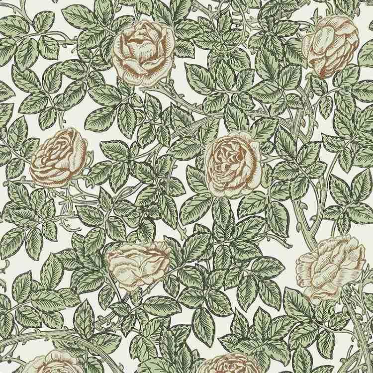 ꥢꥹMORRIS&Co.Rambling Rose 217208