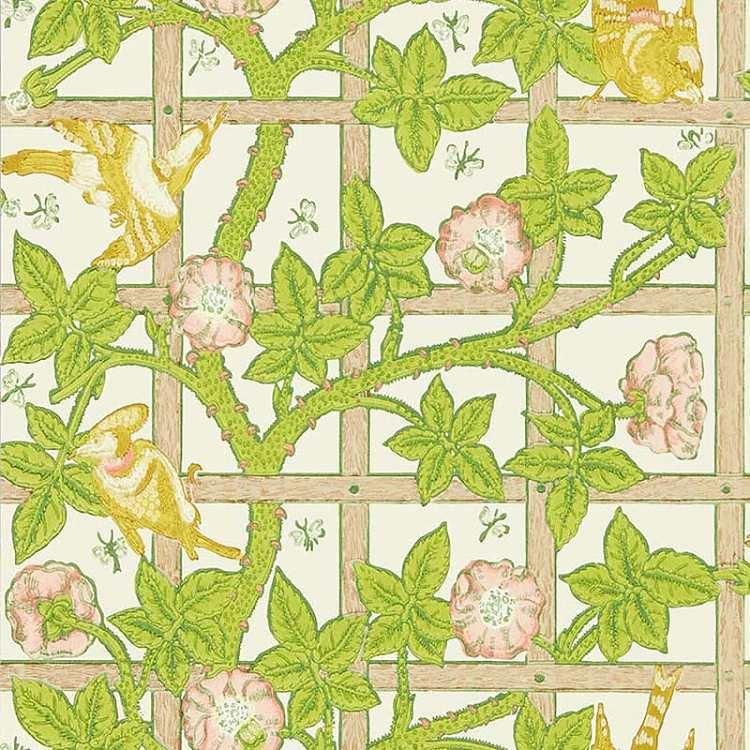 ꥢꥹMORRIS&Co.Trellis 217104